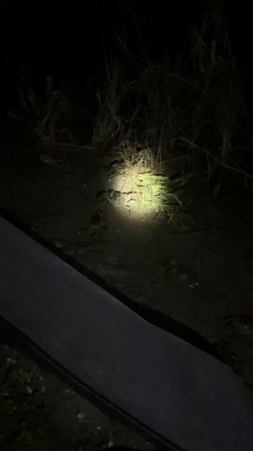 高邮市一手货源大闸蟹