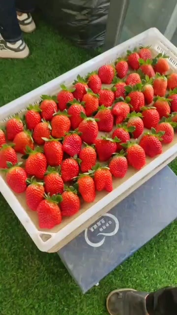 保定藏香草莓香甜味美