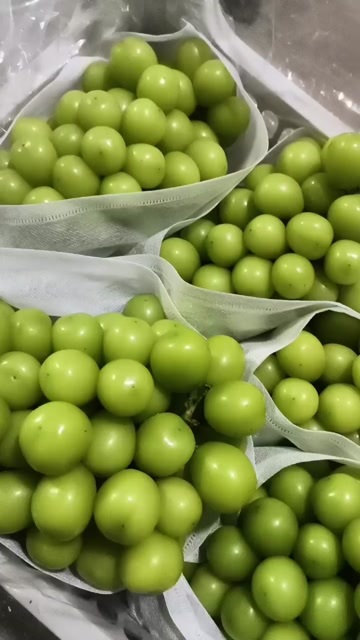瓦房店市红提葡萄，阳光玫瑰葡萄