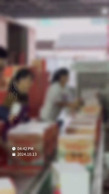 苏州精品阳澄湖镇大闸蟹活蟹现发礼盒装