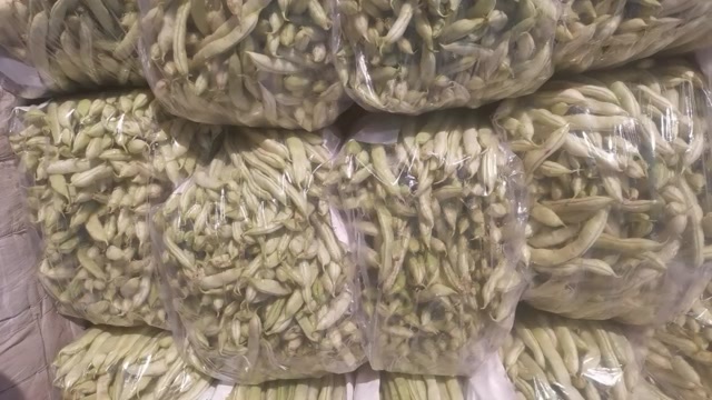 邯郸白玉豆
