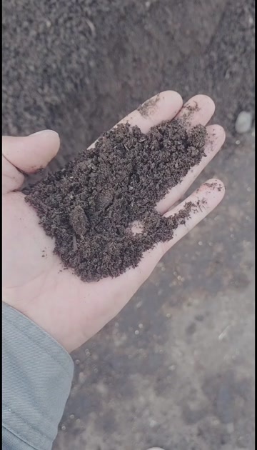 张掖长年大量面向社会出售发酵牛粪，农家肥，有机颗粒肥有机粉状肥，