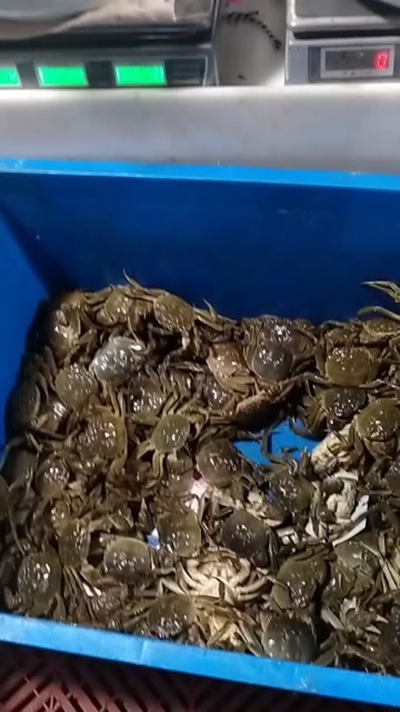 巢湖大闸蟹