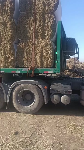 黄骅市优质青干草第一车装车中
