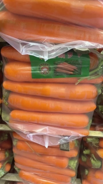 太康县胡萝卜