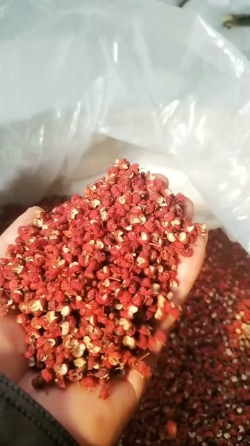 富平县陕西省渭南市富平县产 大红袍干花椒