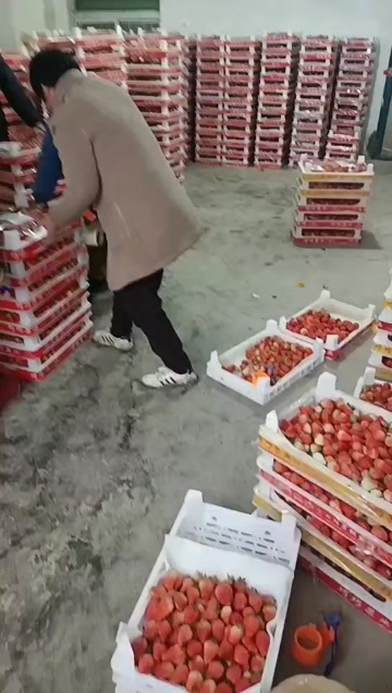 淮南草莓代办
