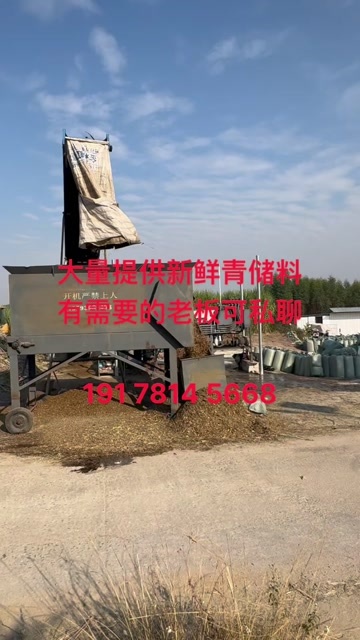 来宾大量提供新鲜青储料，欢迎各位老板下单