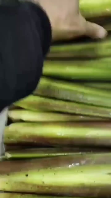 精品茭白，精品电商平台货，商超，食堂货，规格齐全