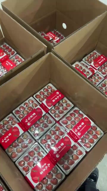 东港市丹东九九草莓对接全国批发市场