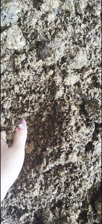 贞丰县常年出售菌渣，有需要的老板可以私聊哈