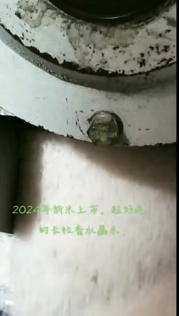 依安县长粒香大米