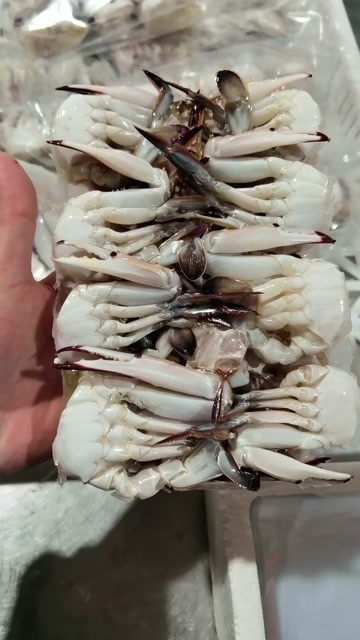 连云港梭子蟹切蟹，全规格，质量好，一手货源。全国批发