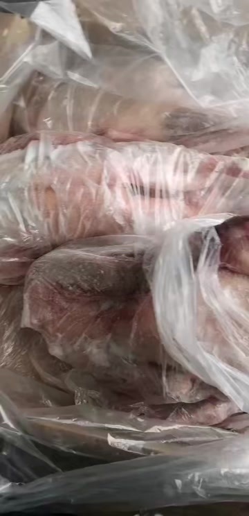 泰安大鹅 老鹅 铁锅炖