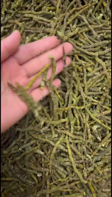 石斛铁皮石斛 石斛 现货批发一件起批云南铁皮石斛代加工磨粉