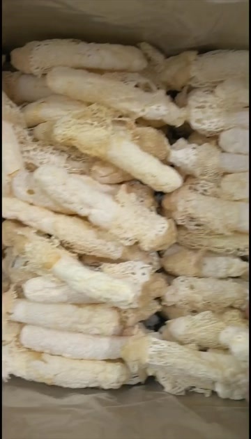 竹荪贵州织金竹荪1袋包邮  厚肉    贵州竹荪1袋包邮
