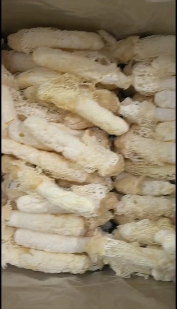 昆明竹荪贵州织金竹荪1袋包邮  厚肉    贵州竹荪1袋包邮