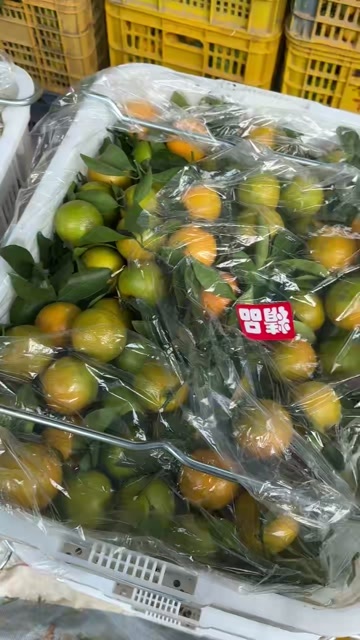 云浮广东云浮农家自种皇帝柑