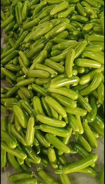 淄博绿皮西葫芦