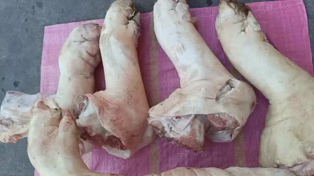 红河县青猪脚