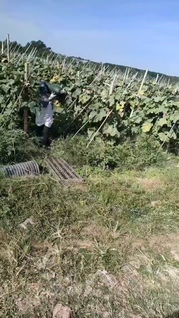 昌江县有需要的老板联系我