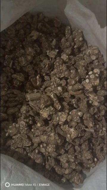 清原县东北苍术白茬，干货烘干