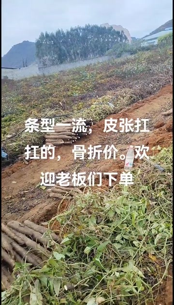 柳州山药