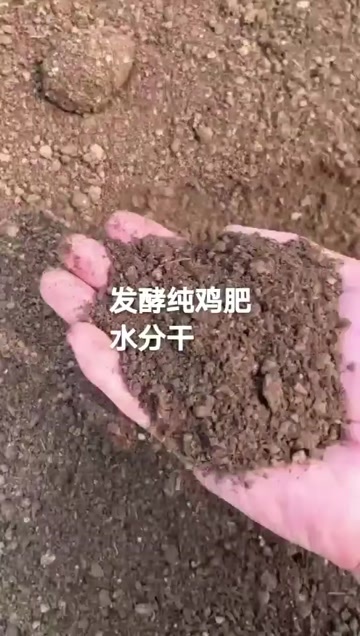 发酵纯鸡粪 经过高达7个月的堆放完全发酵腐熟，水分低，不掺土