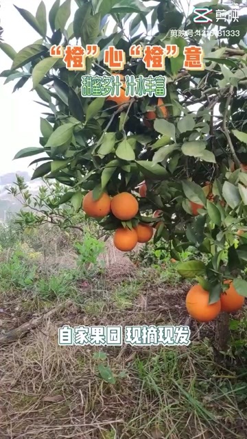 兴山县纽荷尔