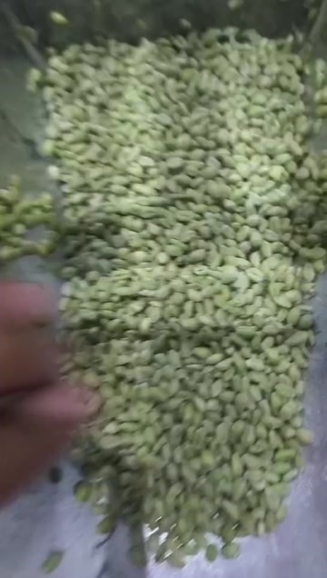 永城市大量鲜货，有需要的联系量大从优