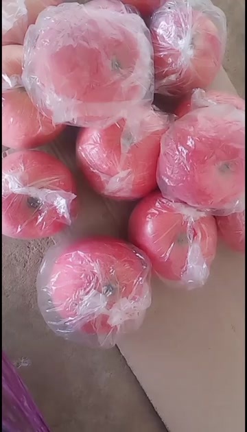 万荣县万荣冷库苹果大量出库，欢迎全国客商前来选购！