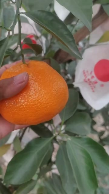 仁寿县电商货市场货代收