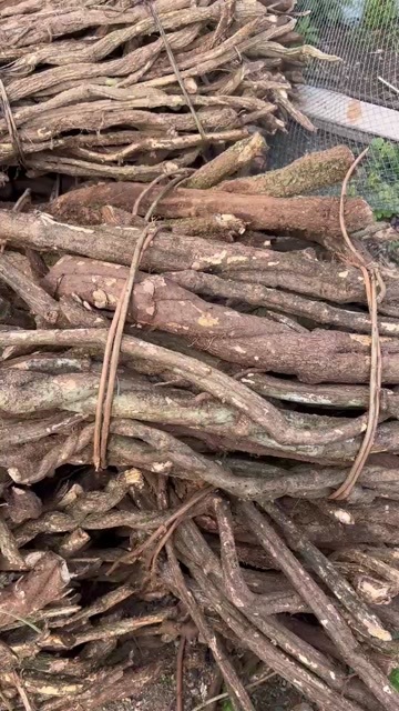 玉林通关藤