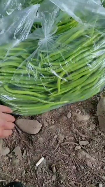 绵竹市精品二荆条