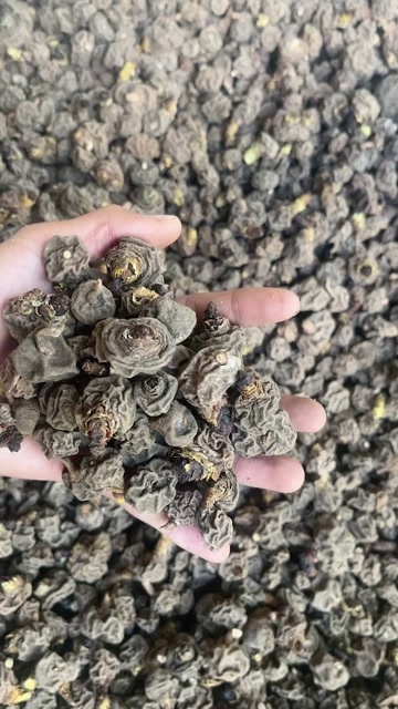 洱源县列当