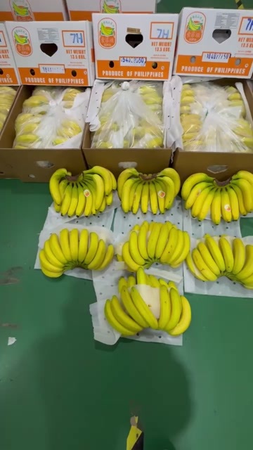 上海精品菲律宾一级好蕉，索菲垭，零损耗包一切售后！