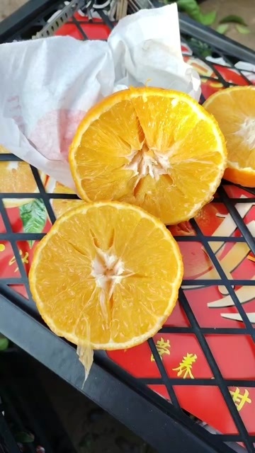 资阳爱媛果冻橙
