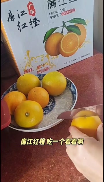 廉江市广东廉江新鲜采摘廉江红江橙精品10斤装