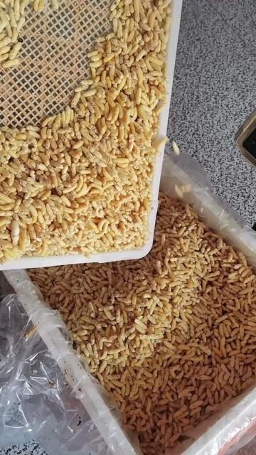 宁远县小蜂一二级