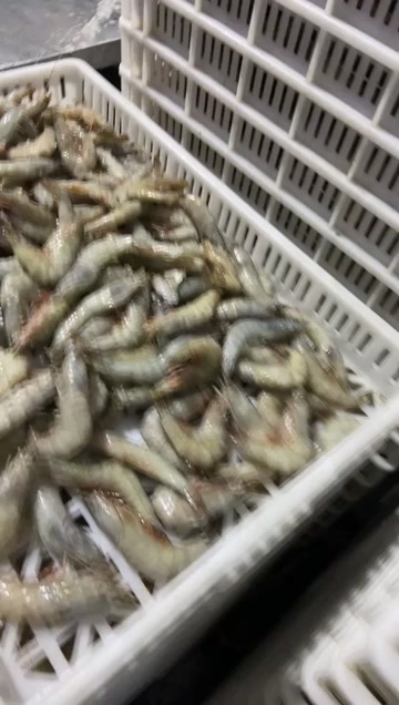 包冰盐冻大虾对接电商团购