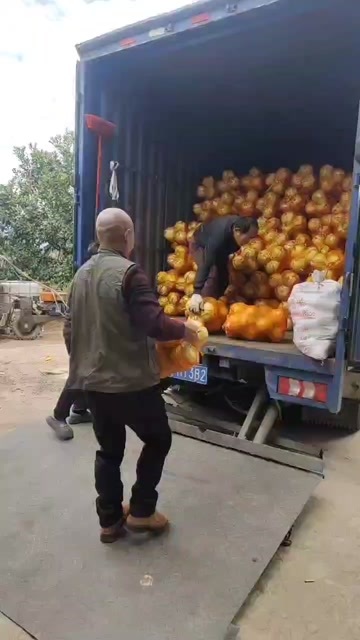 江永县江永香柚