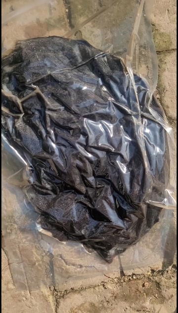 纯干牛百叶