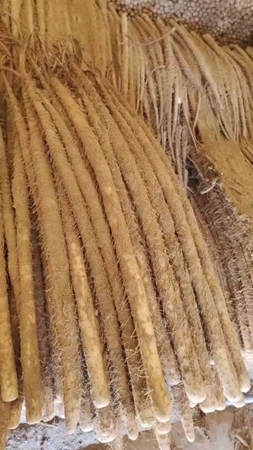 蠡县榆林沙漠铁棍山药  佛手山药 二路 三路全部有货 支持打捆装