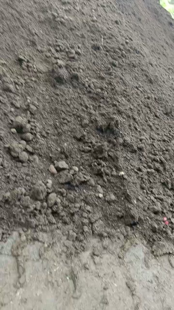 新兴县发酵鸡粪长期供应，已腐熟