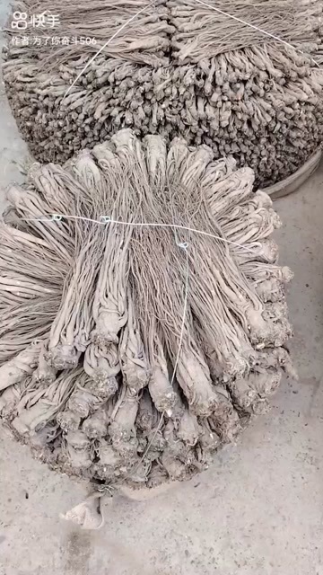 岷县当归无硫