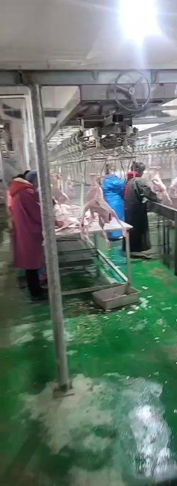 鹅肉
