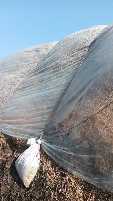 叶县花生秧草
