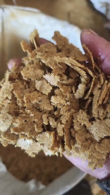 博野县棉粕