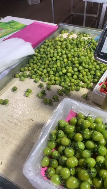 平度市11个糖左右，口感无敌