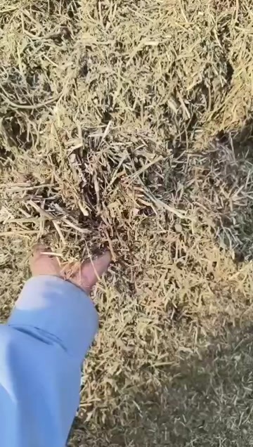 正阳县二次加工花生秧